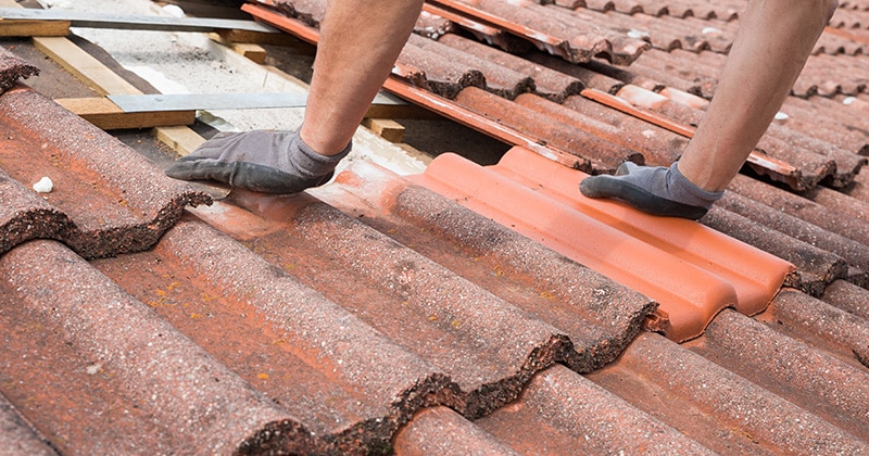 Roof Repairs thumbnail 6